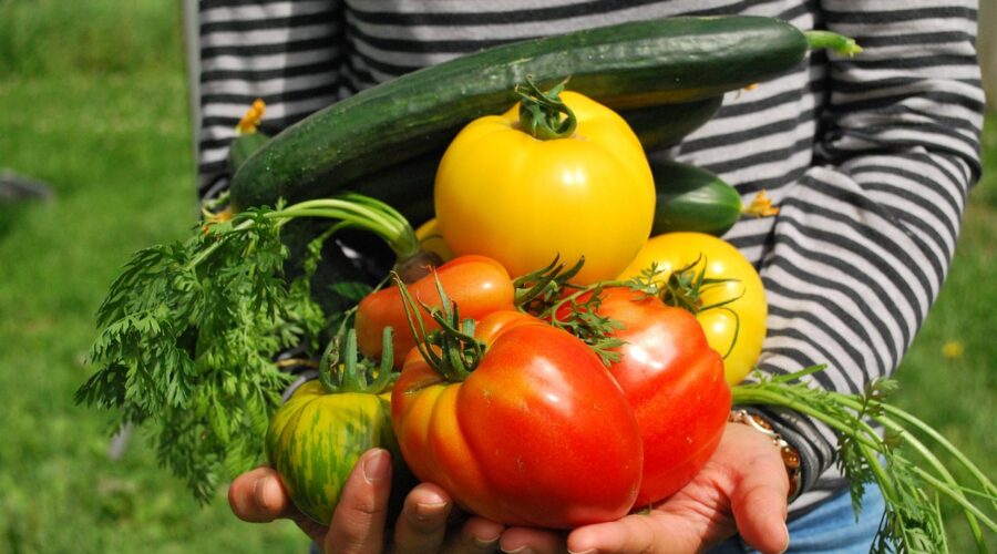 The Lighthouse Foundation